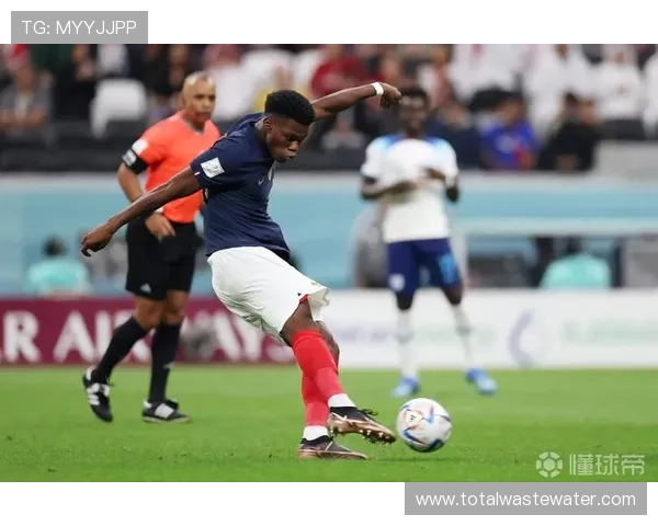 楚阿梅尼数据解析显示年轻中场崛起，未来潜力值得关注