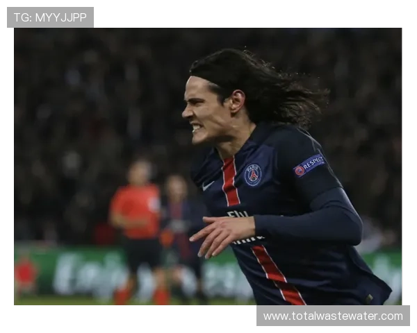 卡瓦尼技术特点