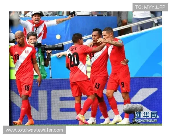 秘鲁队整体表现