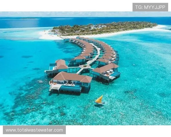 大阪刚在马尔代夫包岛度假完，转头凌晨四点蹲健身房？