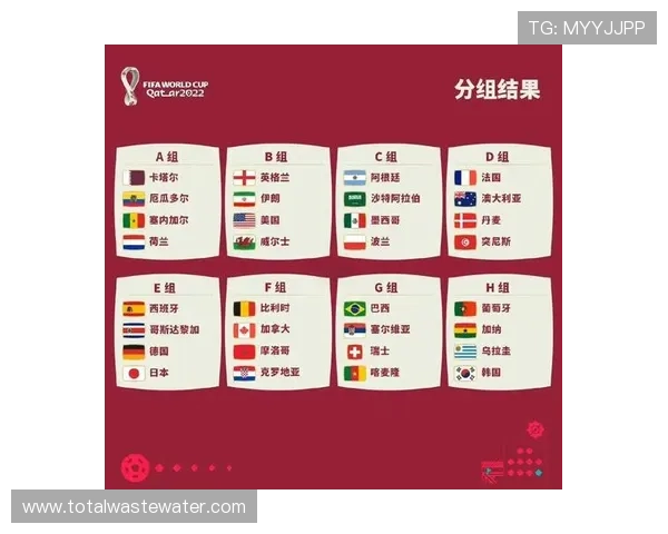 世界杯E组战术风格对比分析 世界杯E组战术风格对比分析